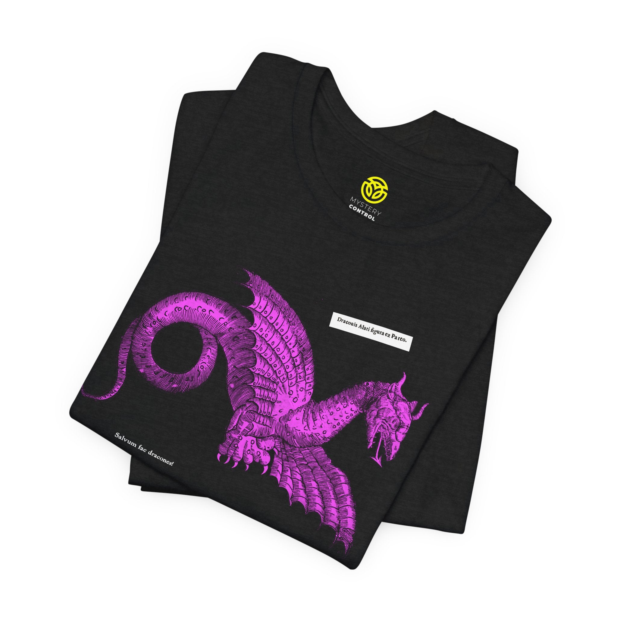 Save the Dragons - 1640 Aldrovandi "Flying Dragon" Unisex Tee