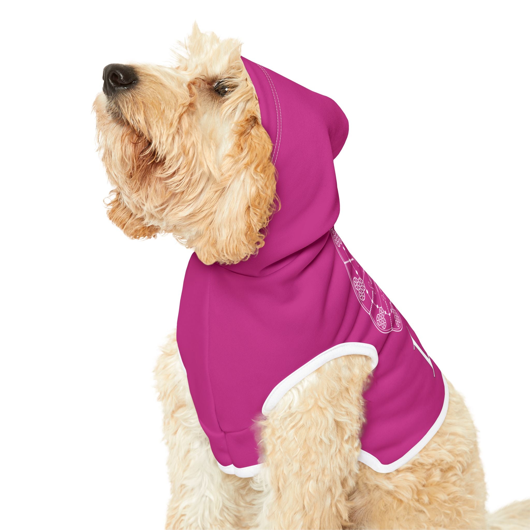 Patti's Power Spellcaster Dog Hoodie - Love