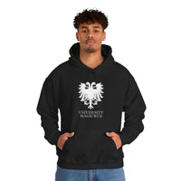 University Magickus "Double Dragon" Unisex Heavy Blend™ Hoodie