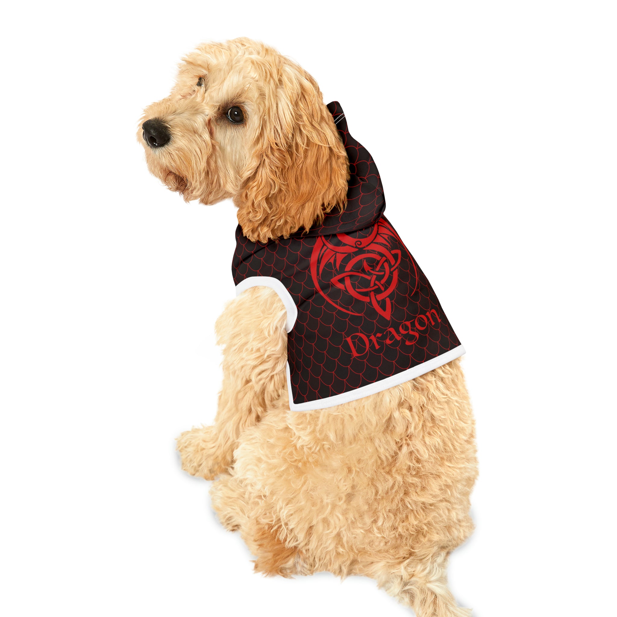 Spellcaster by Patti Negri Pet Hoodie "Dragon"