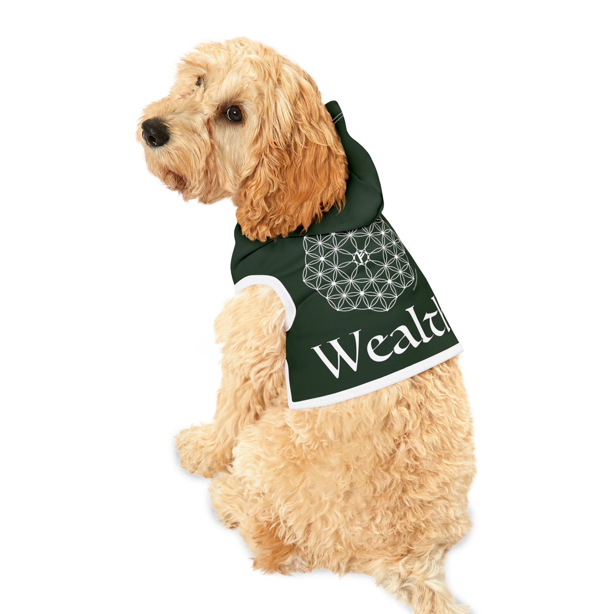 Spellcaster by Patti Negri Dog Hoodie - Wealth