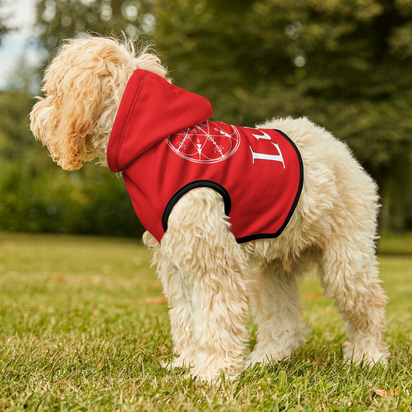 Spellcaster by Patti Negri Dog Hoodie - Luck