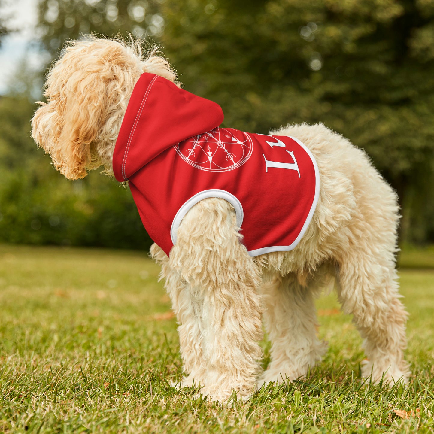 Spellcaster by Patti Negri Dog Hoodie - Luck