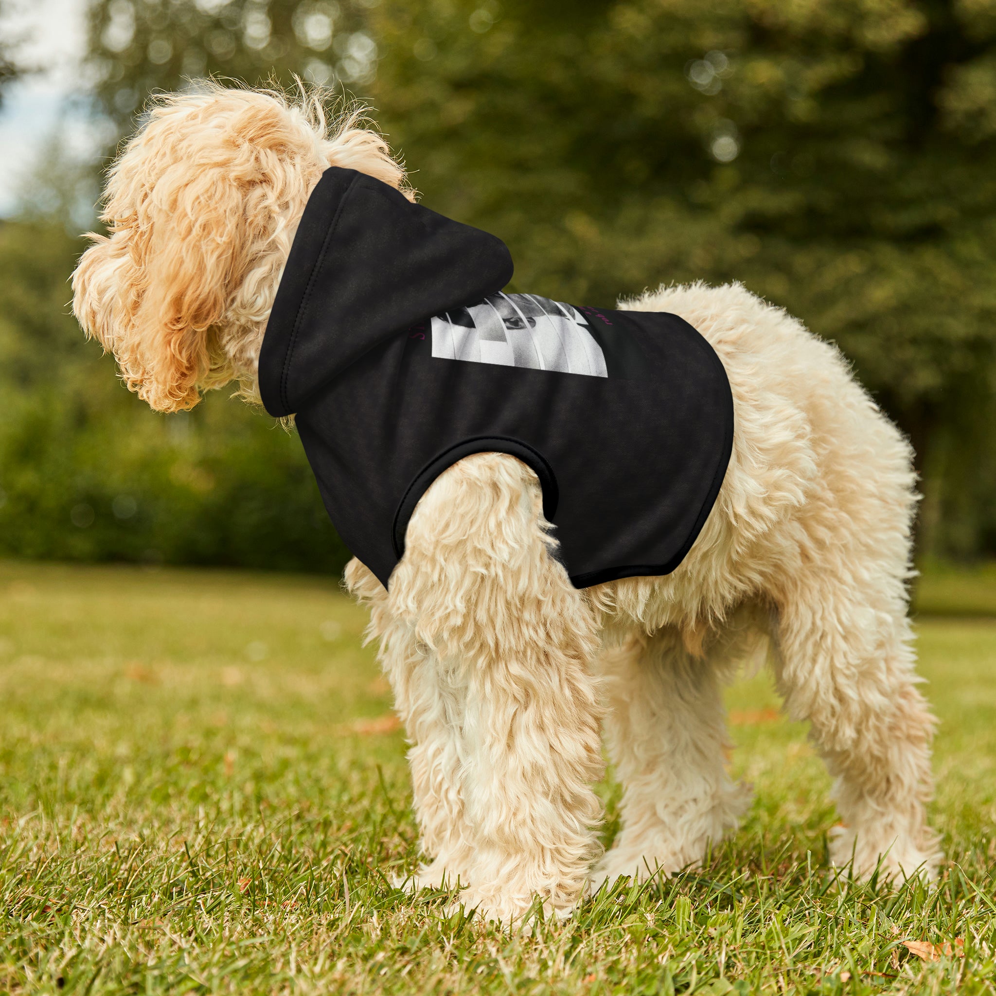 Strange Cures by Rob Zabrecky Pet Hoodie