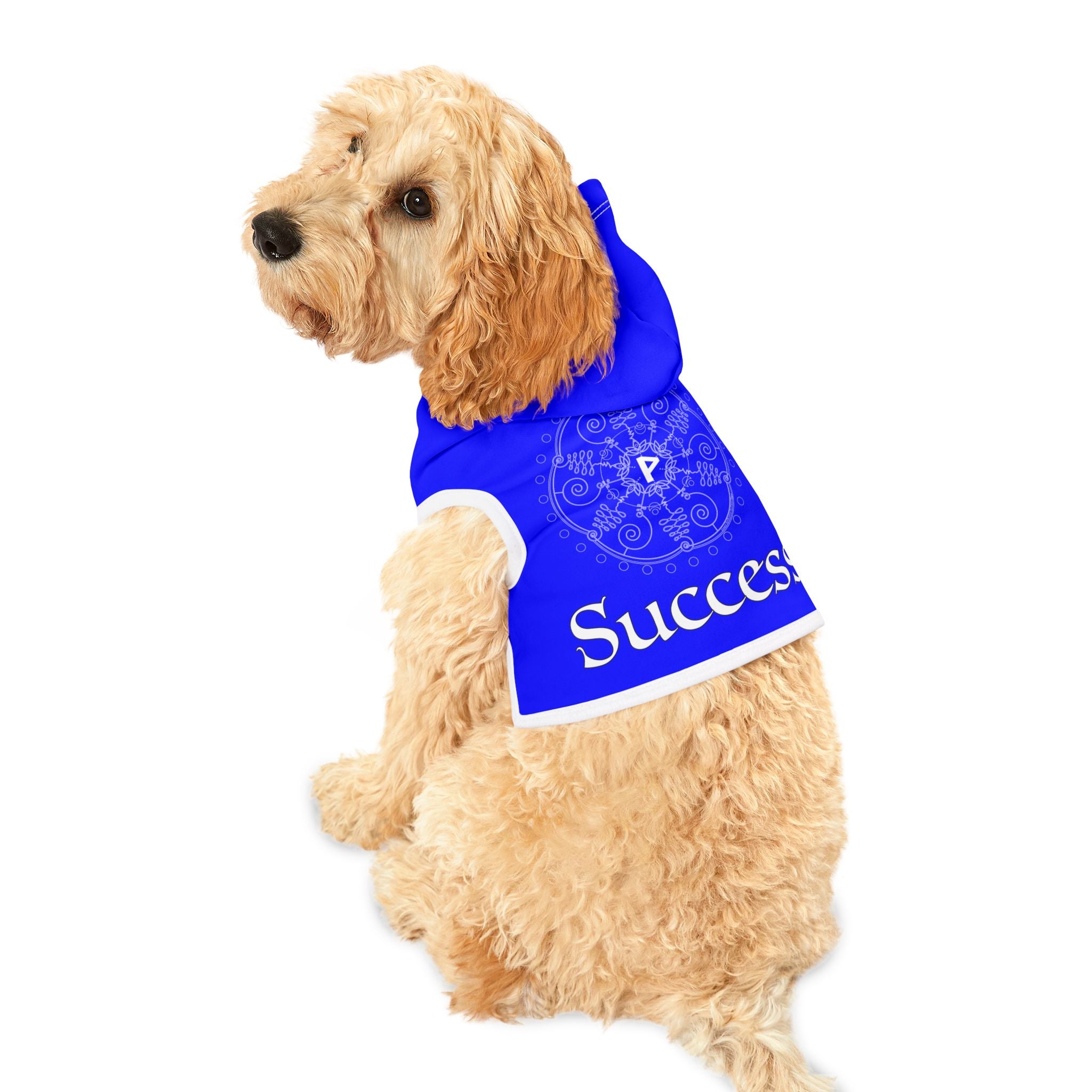 Spellcaster by Patti Negri Dog Hoodie - Success