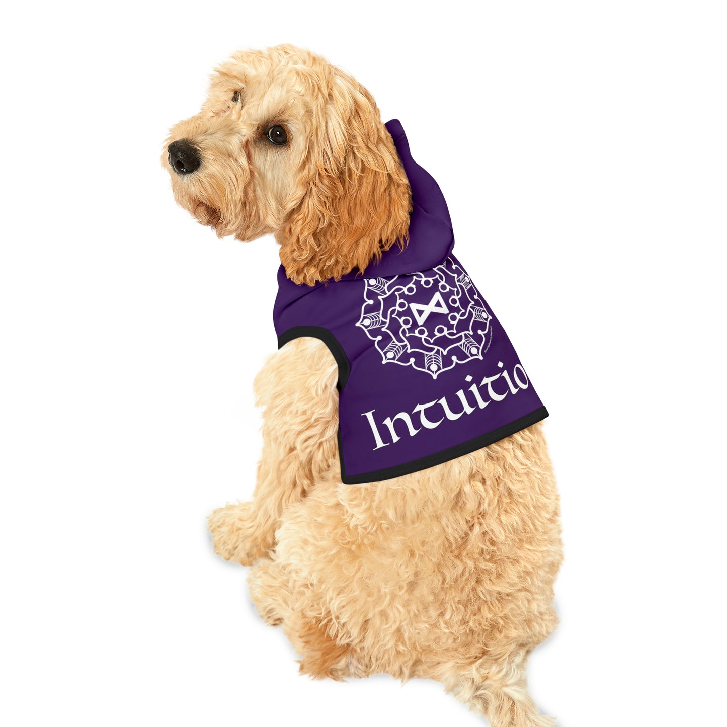 Spellcaster Pets by Patti Negri Dog Hoodie - Intuition