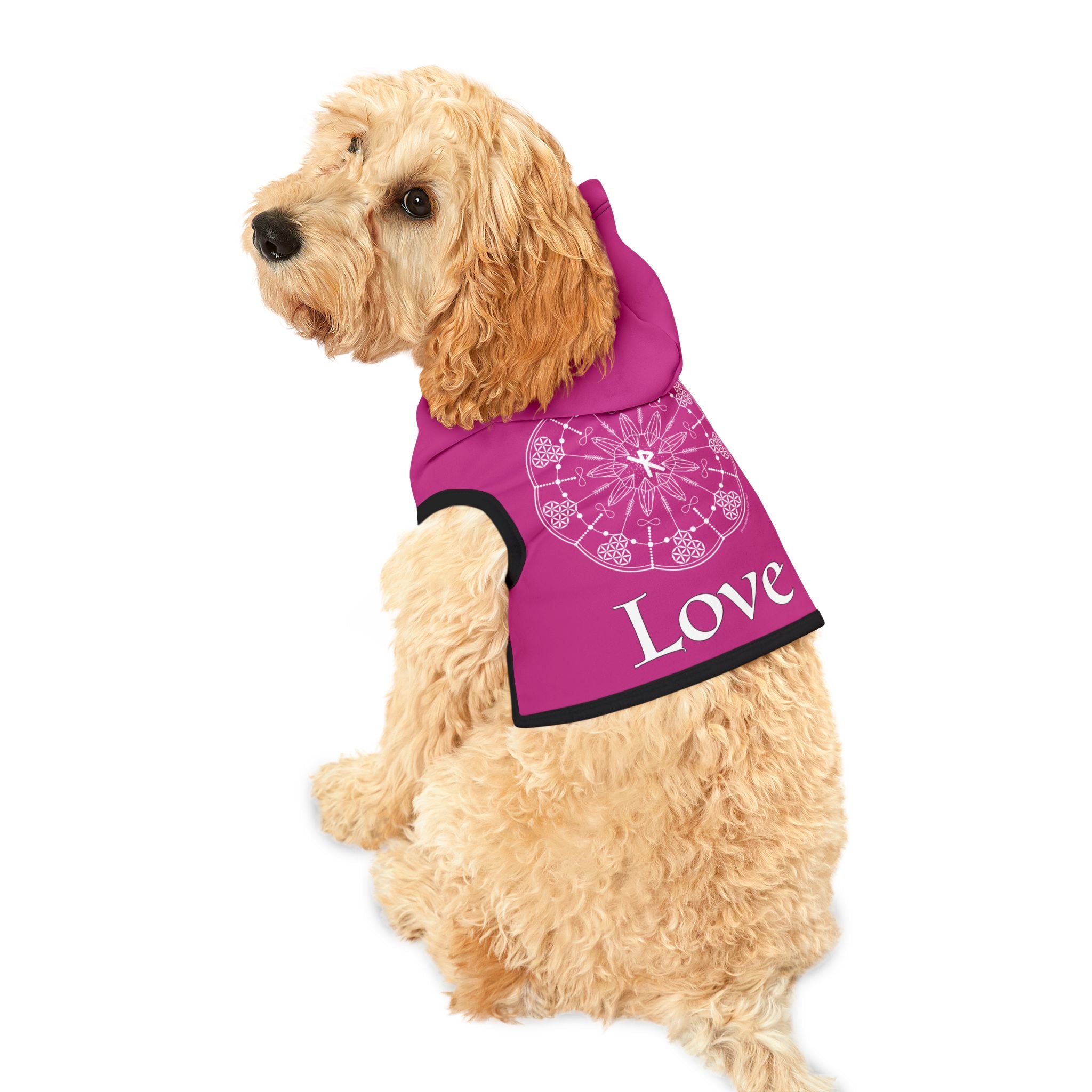 Patti's Power Spellcaster Dog Hoodie - Love