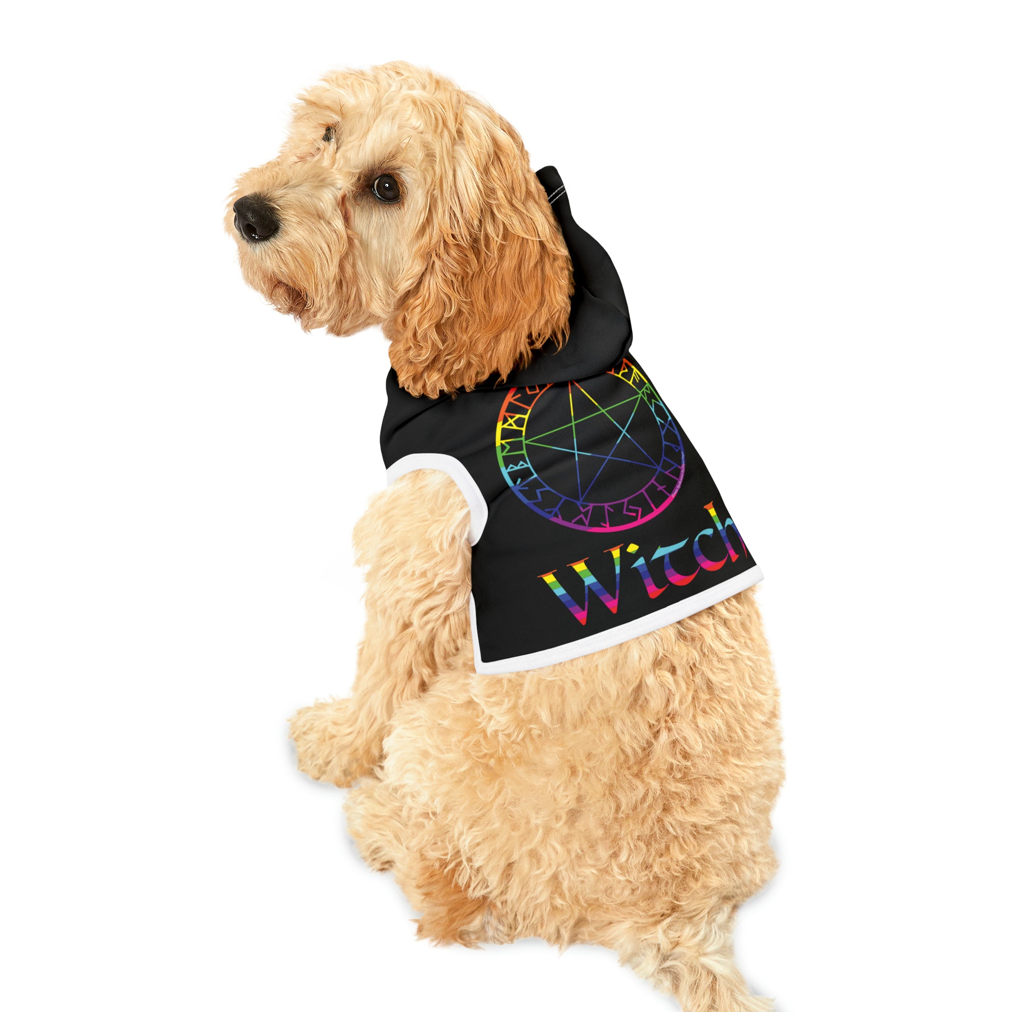 Spellcaster by Patti Negri Dog Hoodie - Witch
