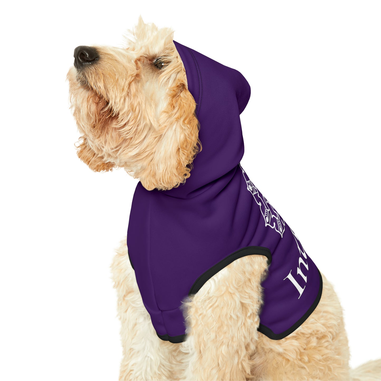 Spellcaster Pets by Patti Negri Dog Hoodie - Intuition