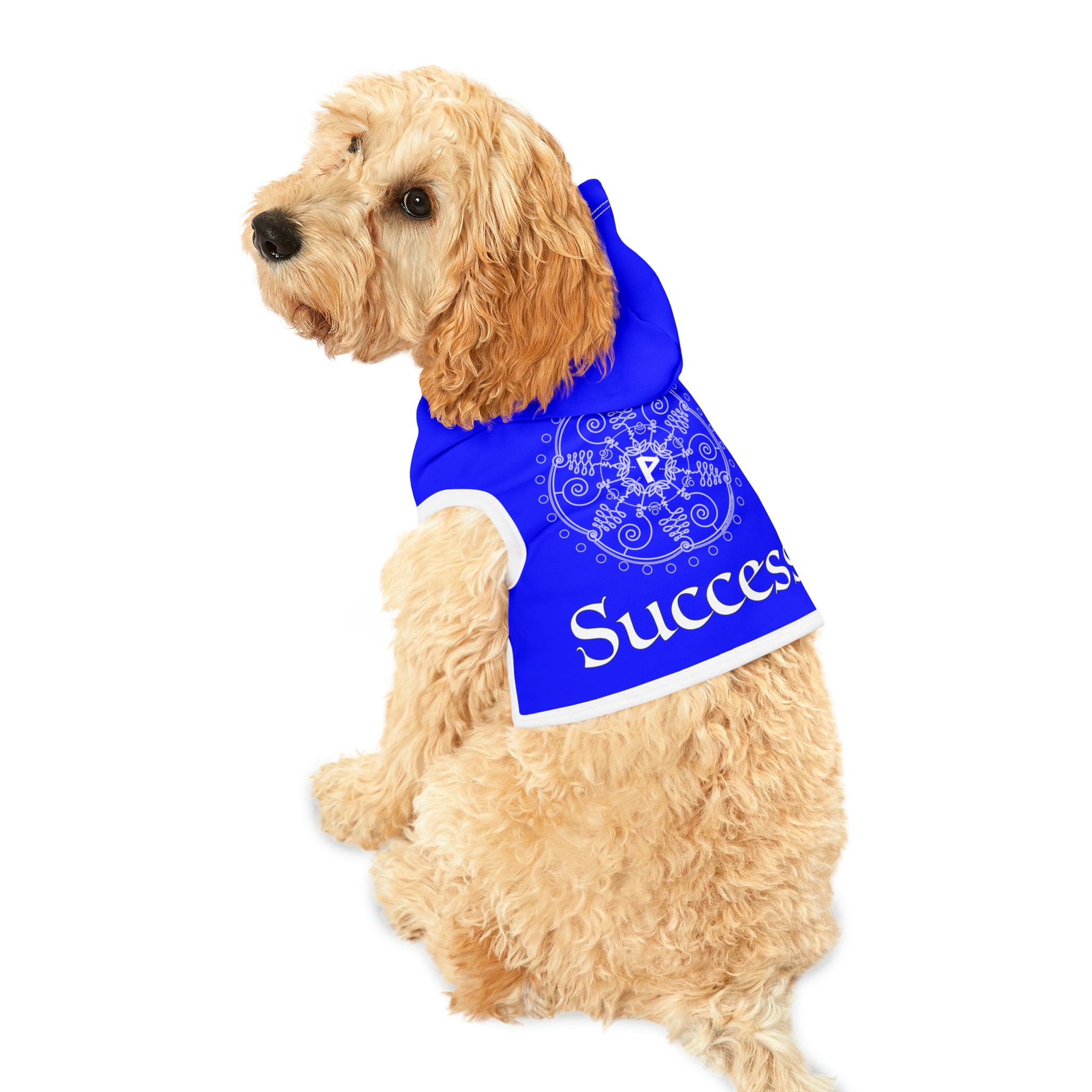 Spellcaster by Patti Negri Dog Hoodie - Success
