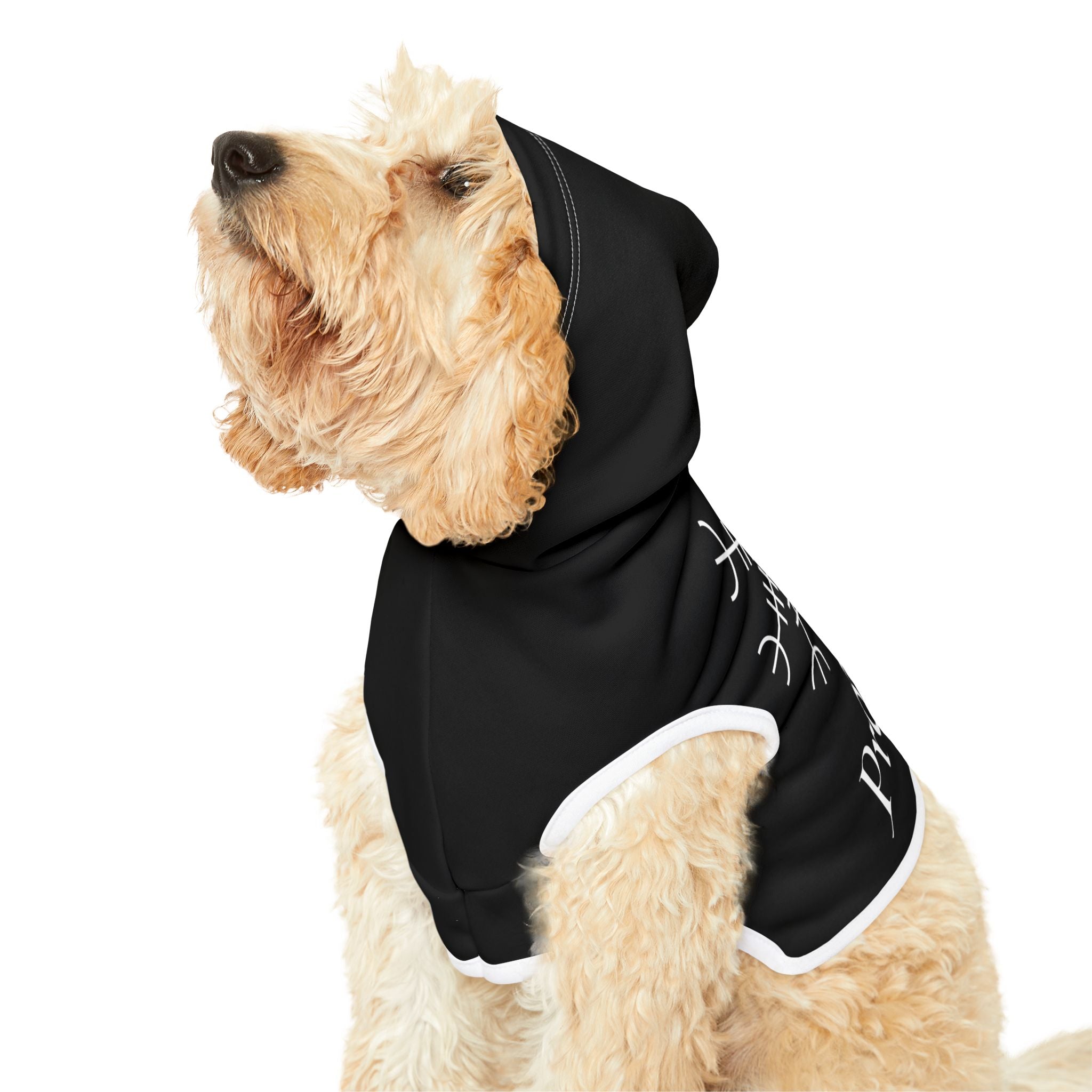 Spellcaster Dog Hoodie - Helm of Awe Protection