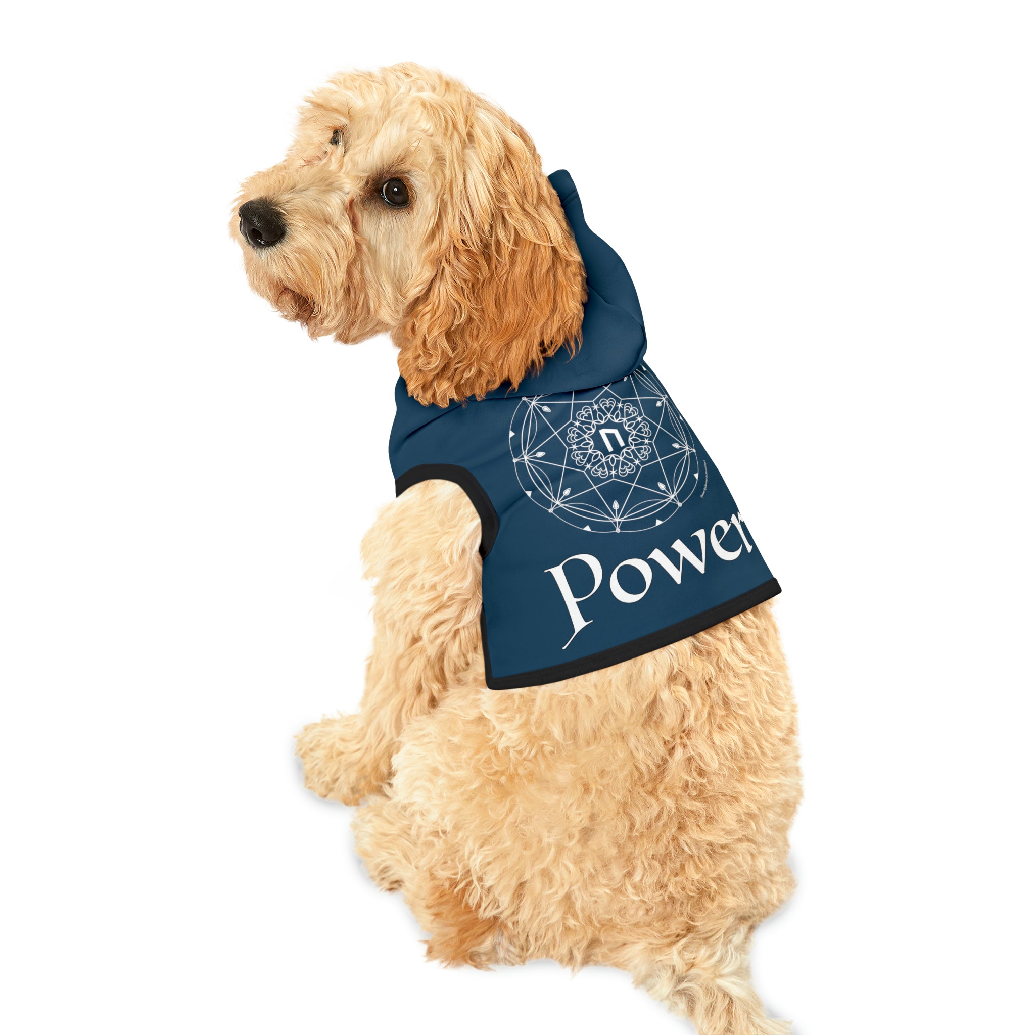 Spellcaster by Patti Negri Dog Hoodie - Power