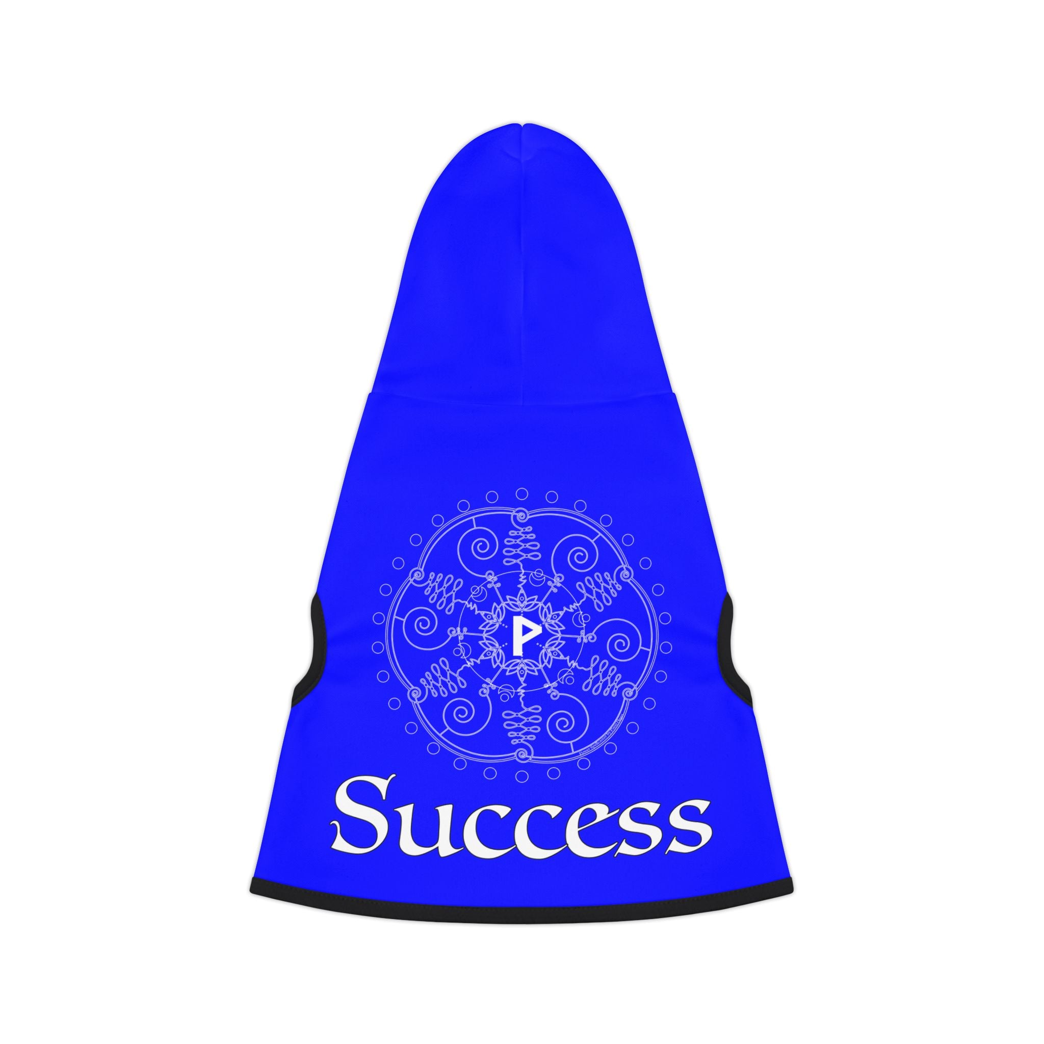 Spellcaster by Patti Negri Dog Hoodie - Success