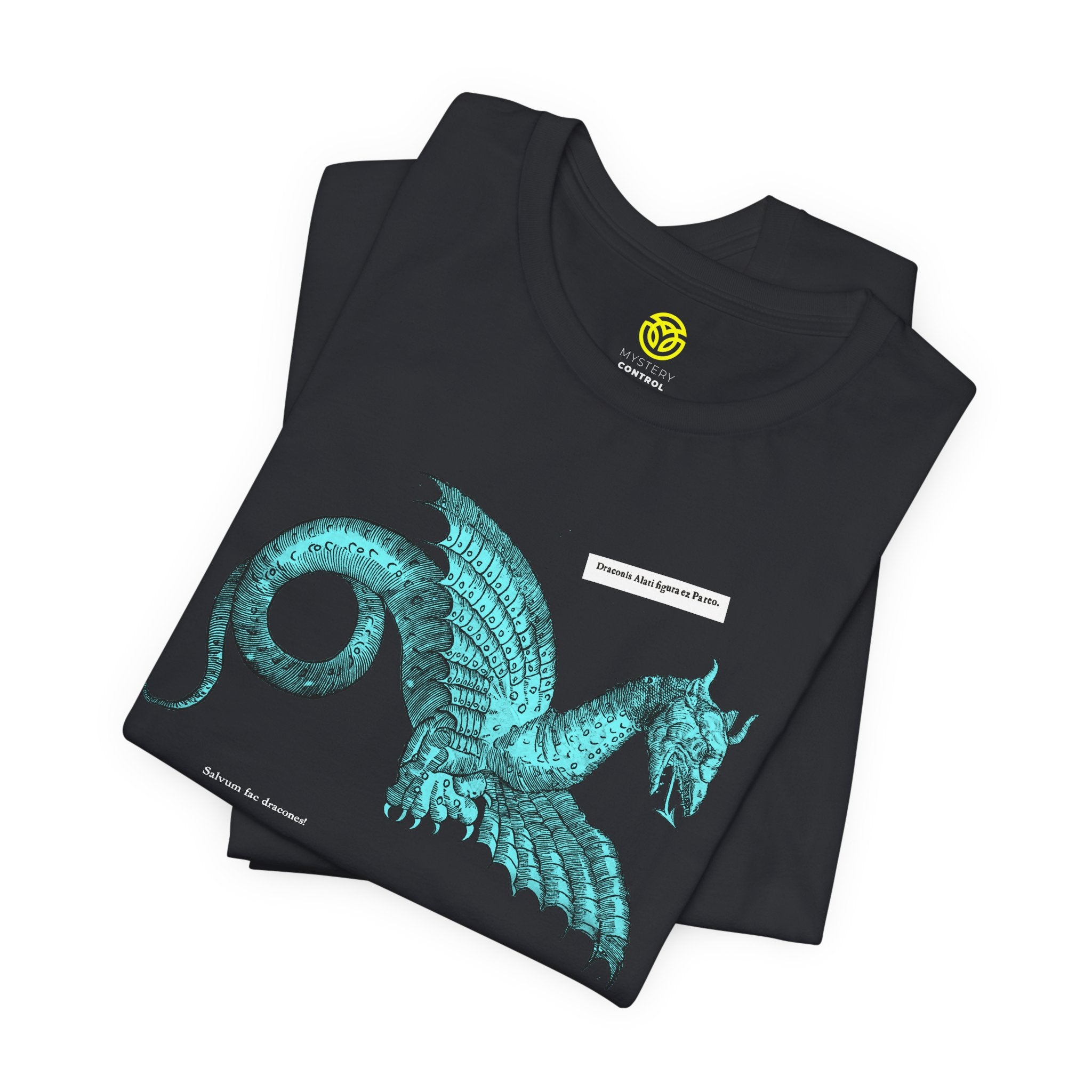 Save the Dragons - 1640 Aldrovandi "Flying Dragon" Unisex Tee