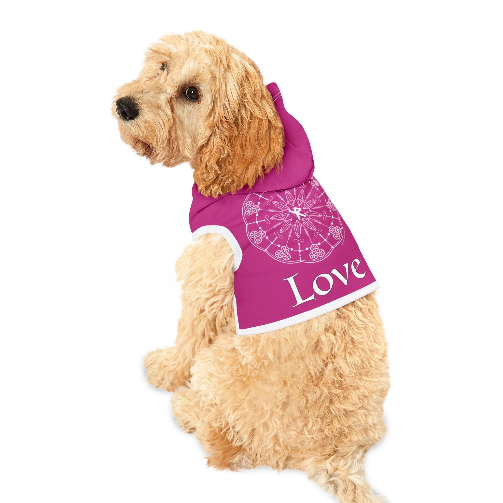 Patti's Power Spellcaster Dog Hoodie - Love