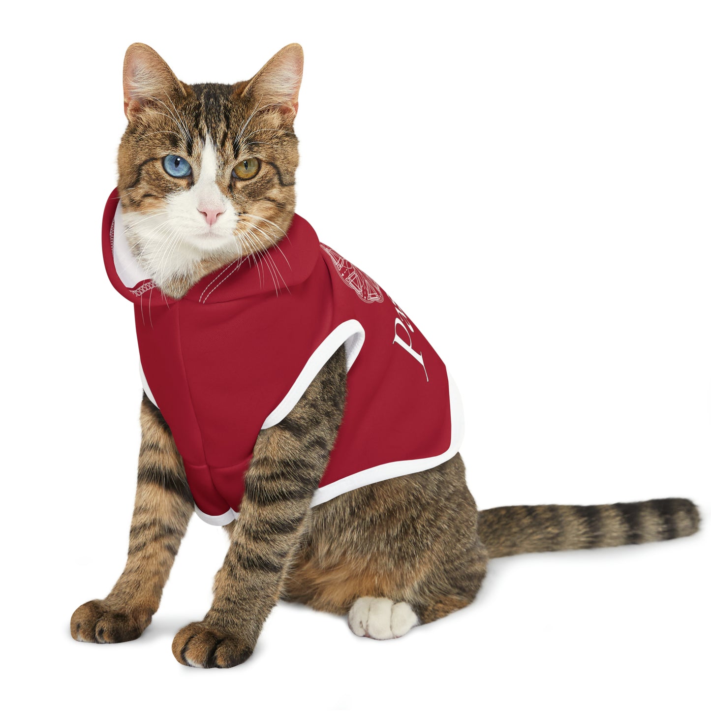 Spellcaster Pets by Patti Negri Dog Hoodie -Passion