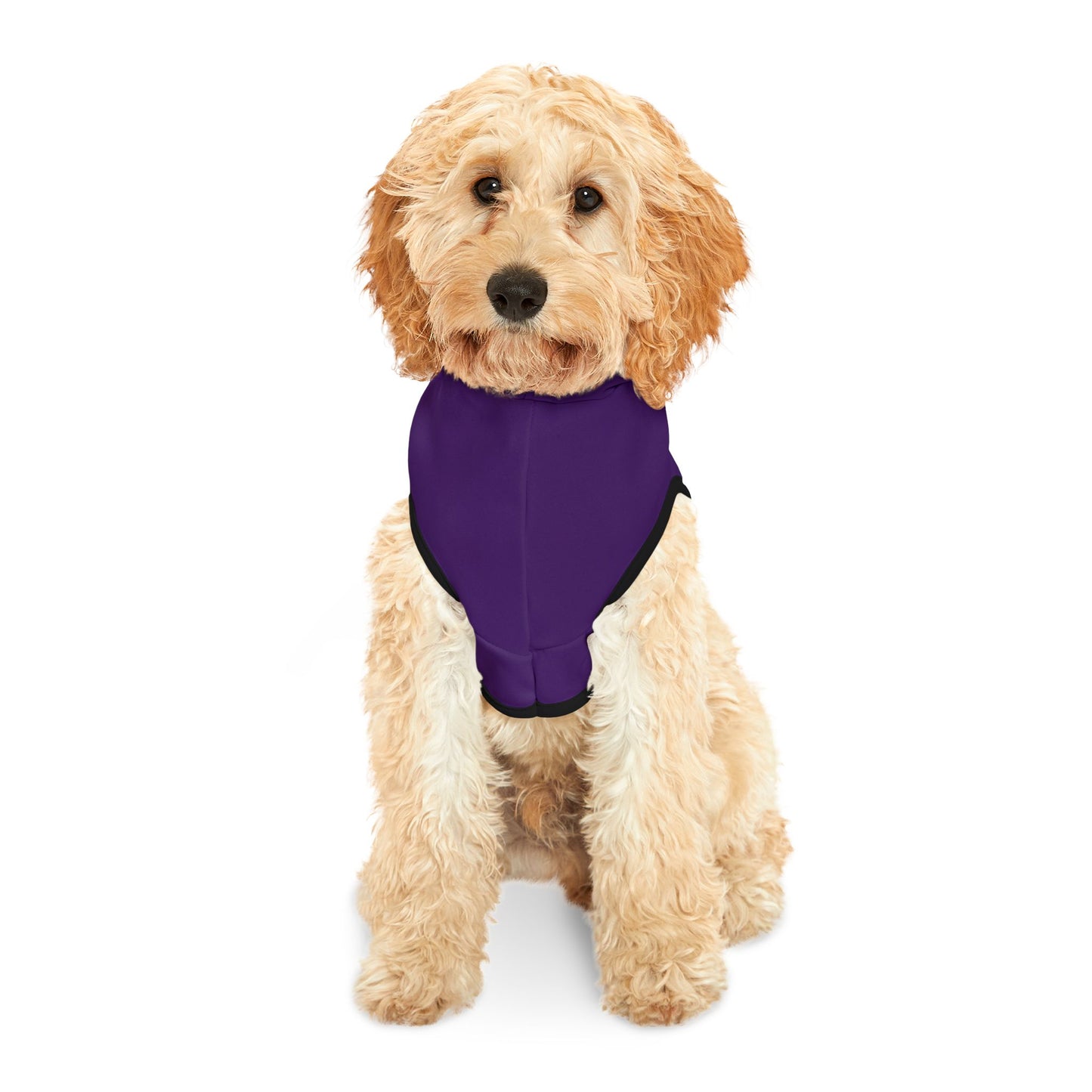 Spellcaster Pets by Patti Negri Dog Hoodie - Intuition