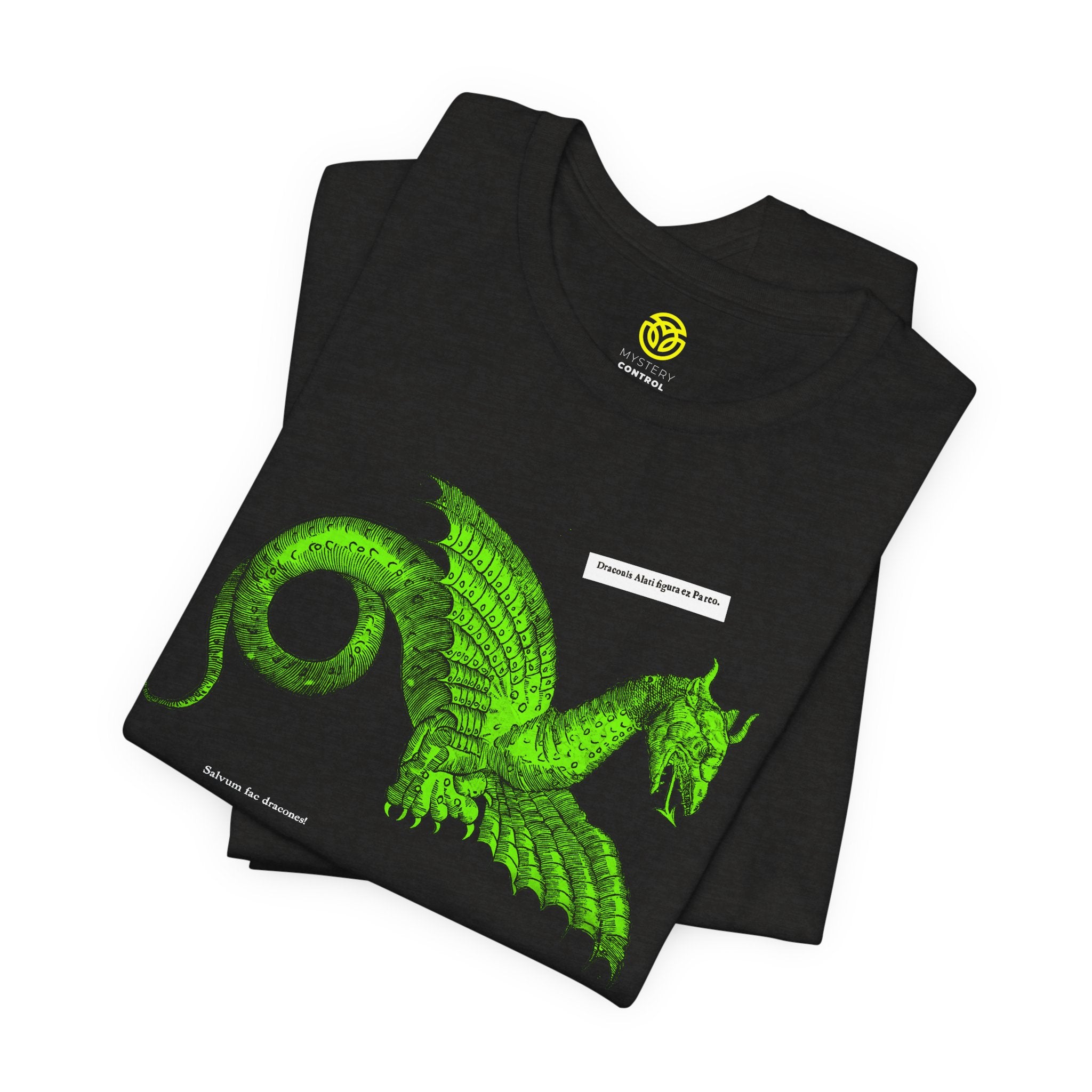 Save the Dragons - 1640 Aldrovandi "Flying Dragon" Unisex Tee
