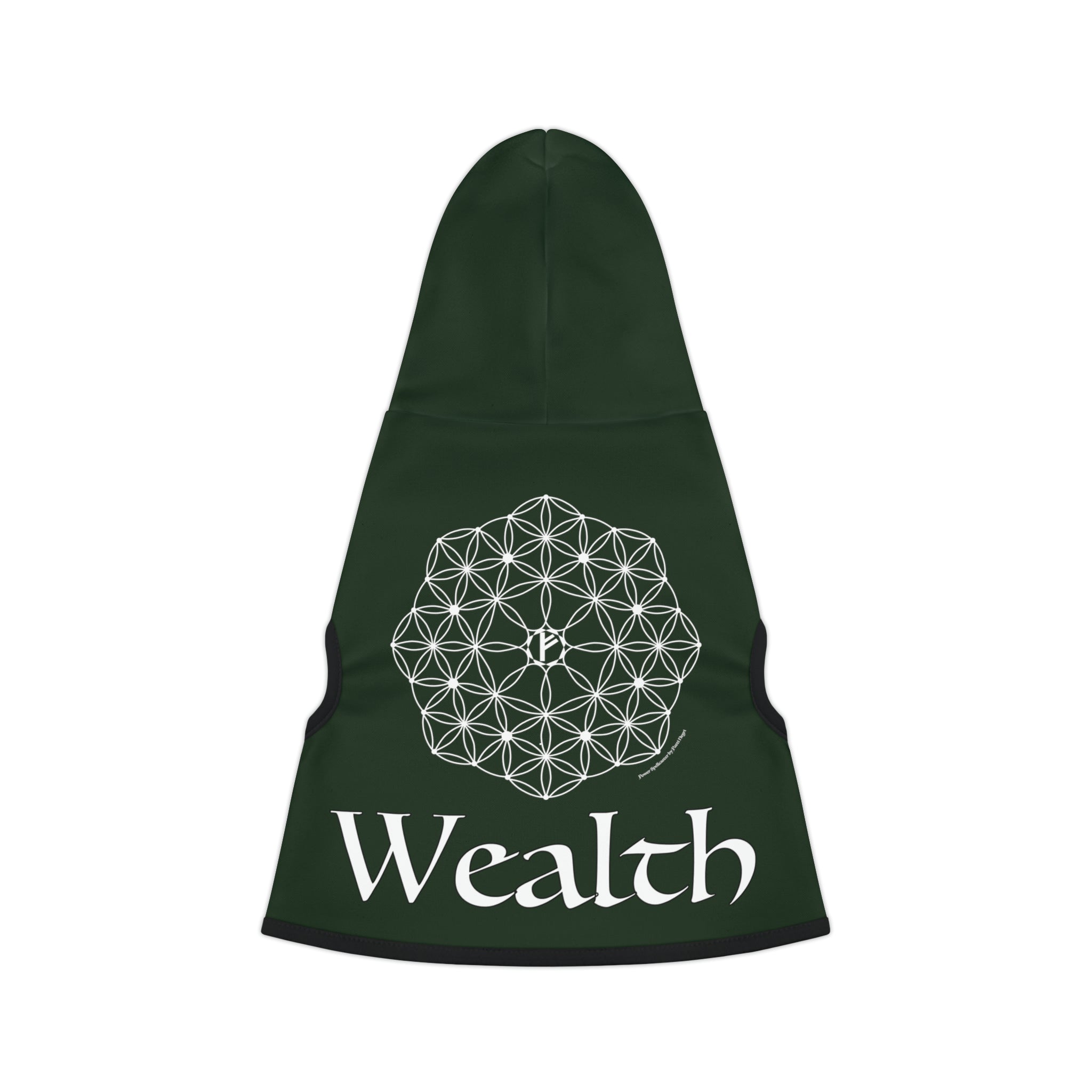 Spellcaster by Patti Negri Dog Hoodie - Wealth