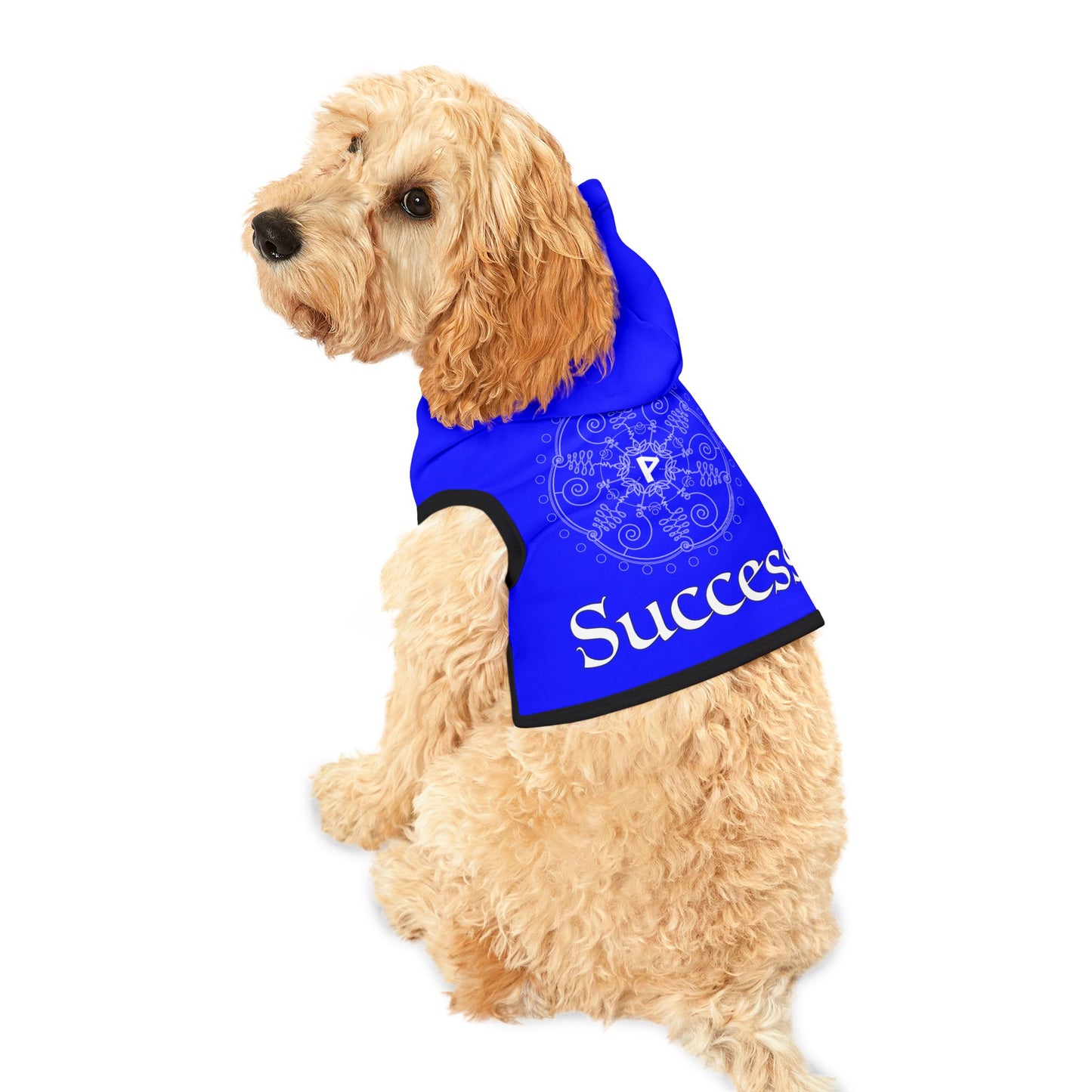 Spellcaster by Patti Negri Dog Hoodie - Success
