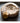 Ammonite Fossil Small