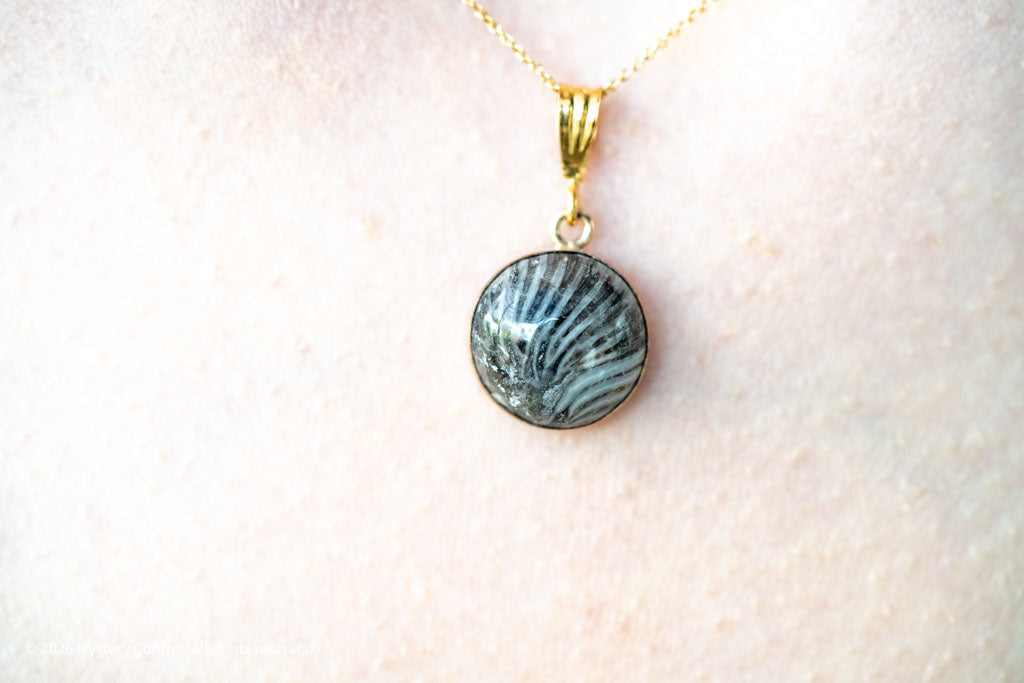 Black Fossil Coral Necklace