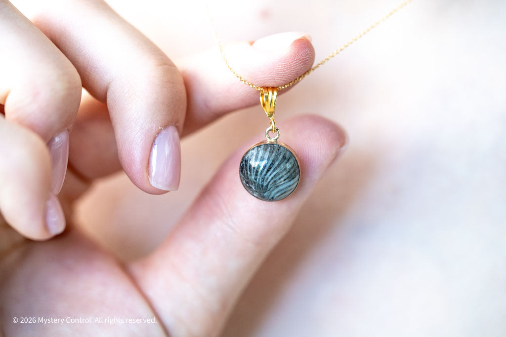 Black Fossil Coral Necklace