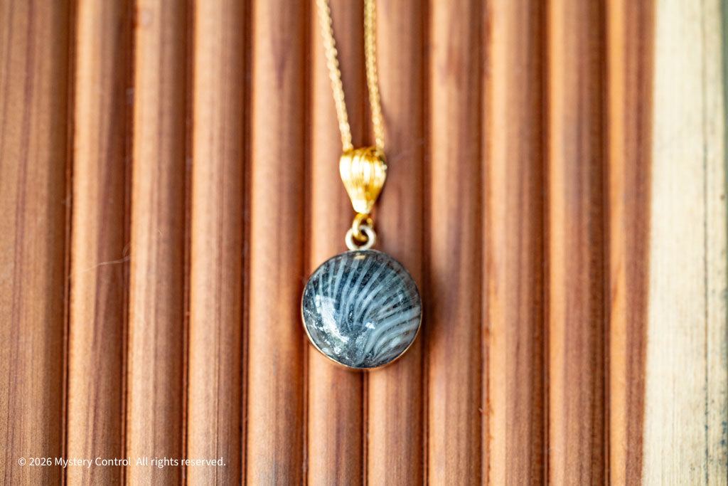 Black Fossil Coral Necklace