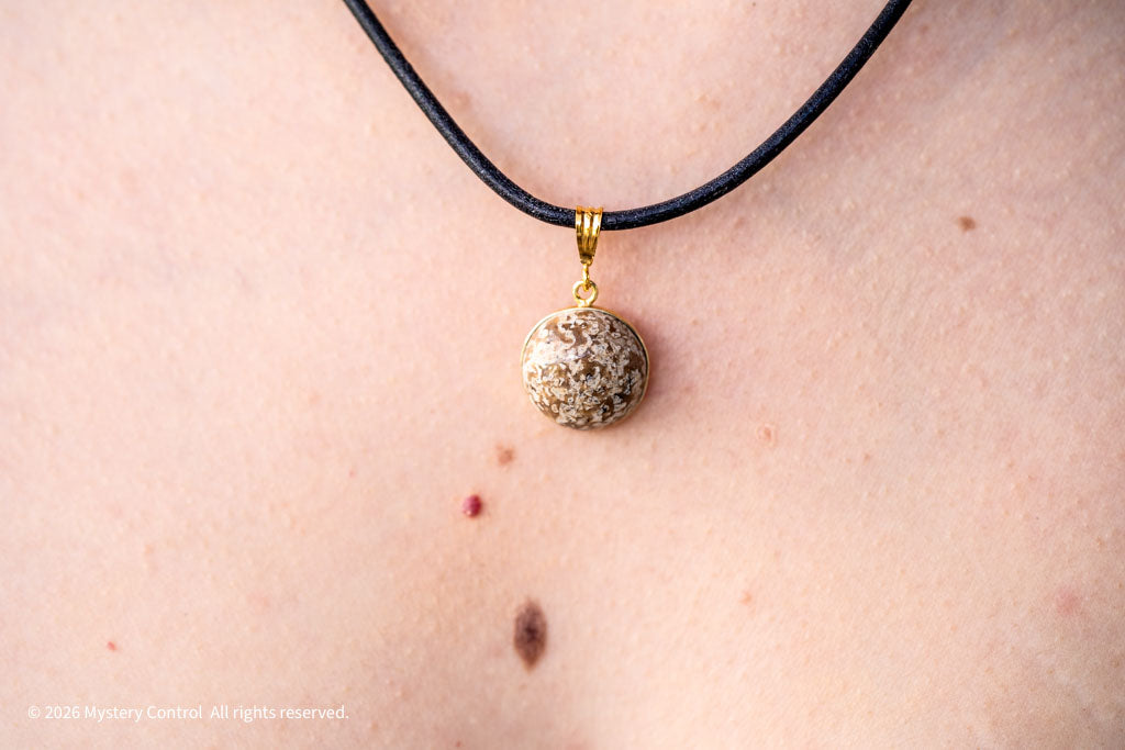 Moroccan Dinosaur Bone Fossil Charm Necklace