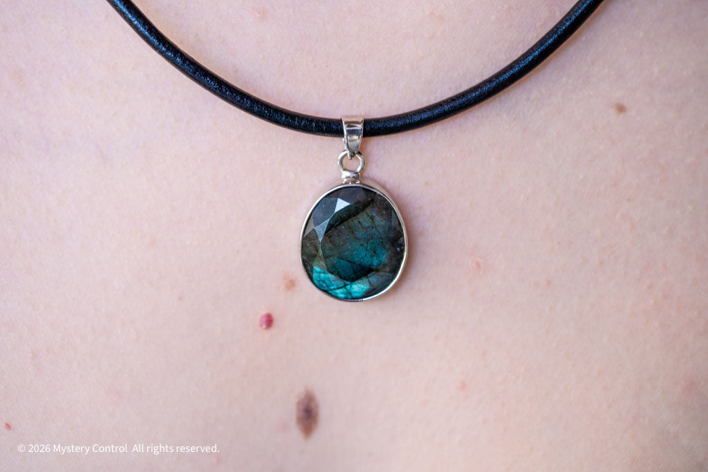 Labradorite Silver & Leather Necklace