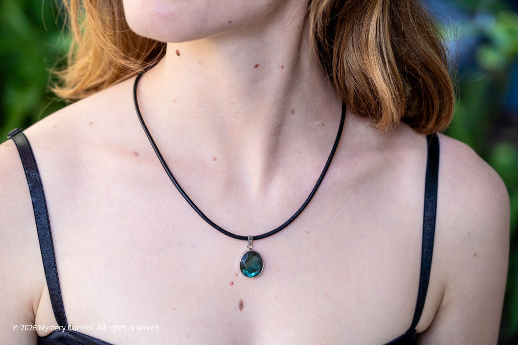 Labradorite Silver & Leather Necklace