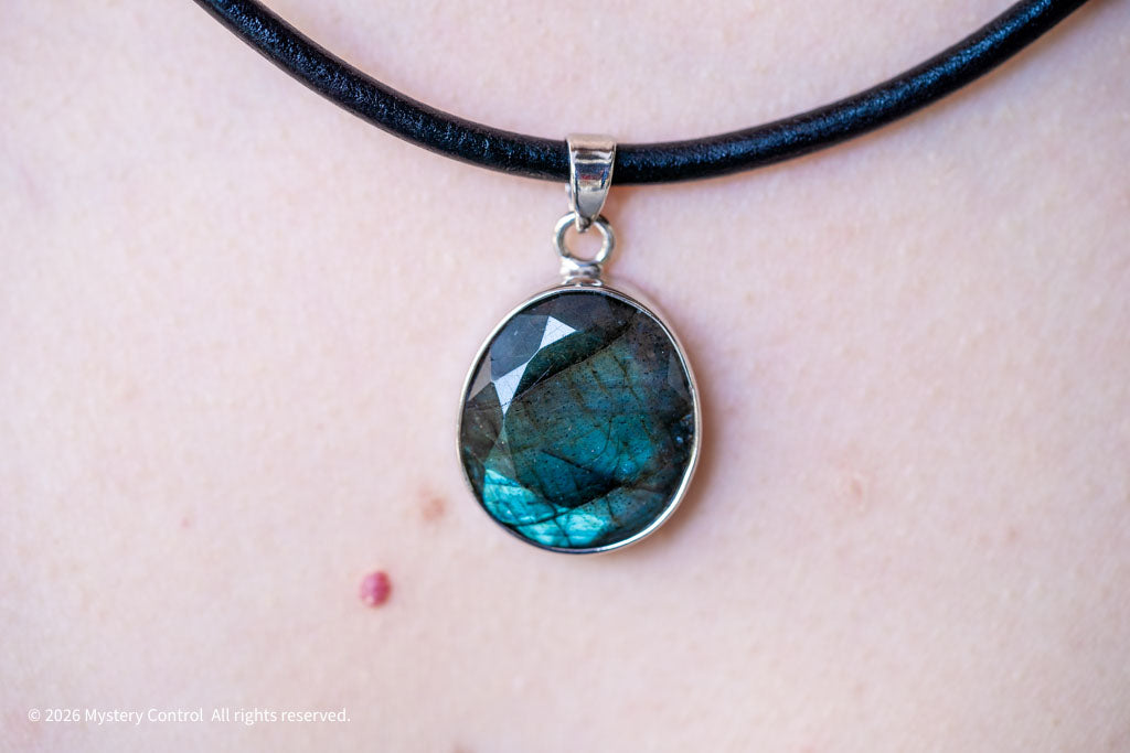 Labradorite Silver & Leather Necklace