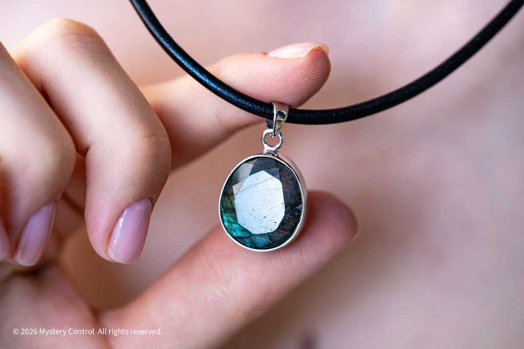 Labradorite Silver & Leather Necklace