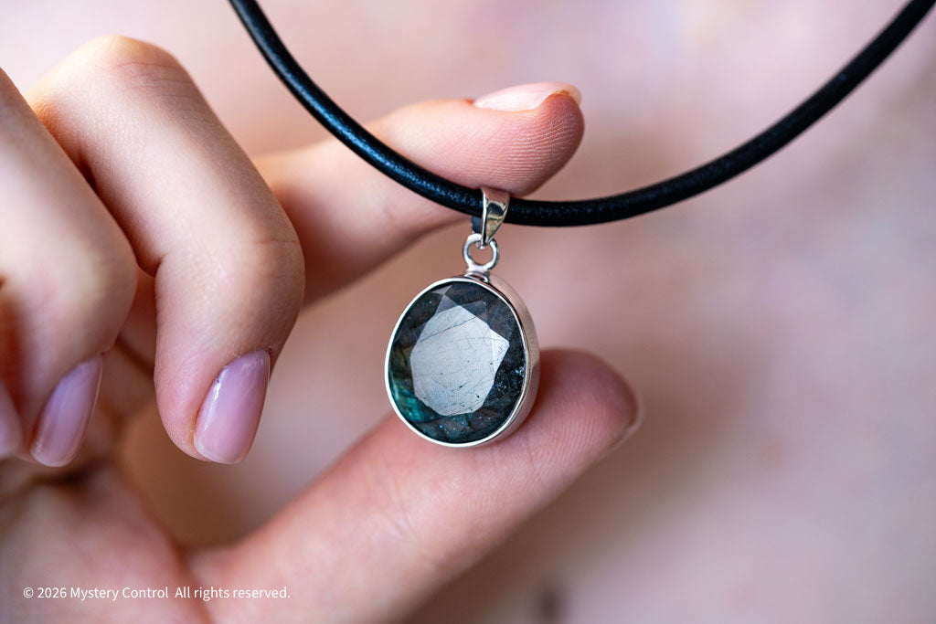Labradorite Silver & Leather Necklace