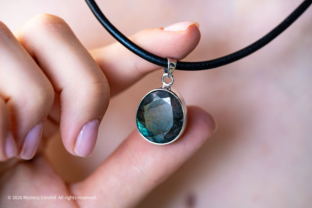 Labradorite Silver & Leather Necklace