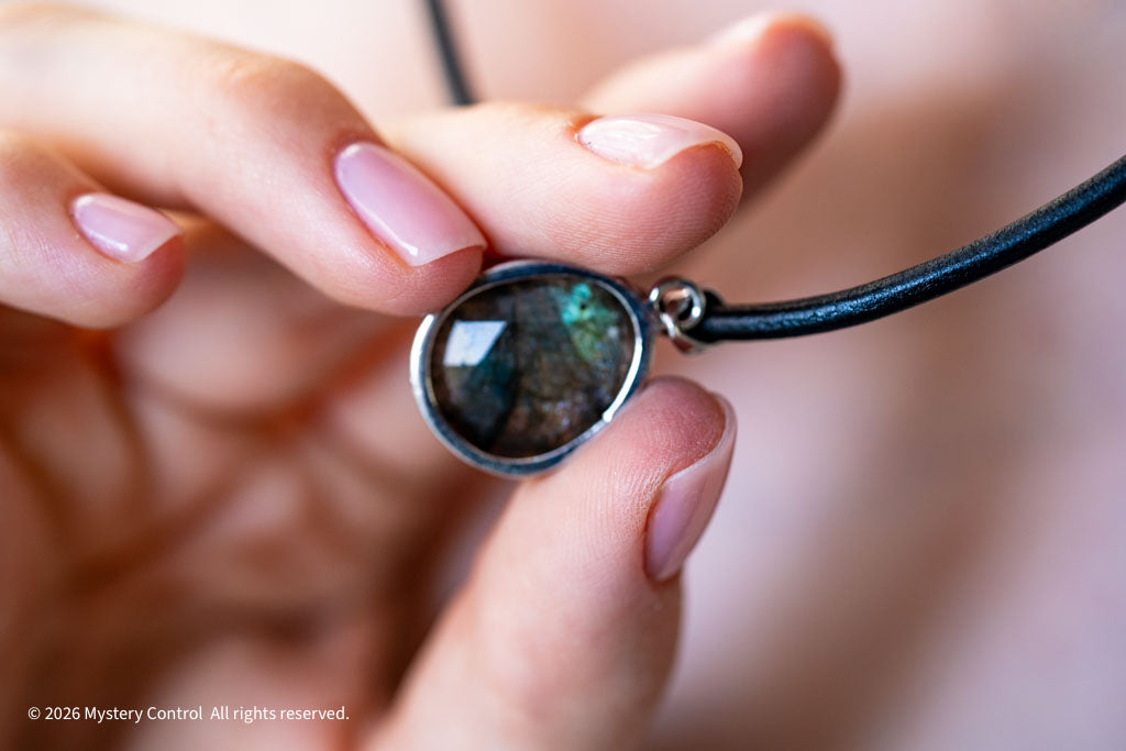 Labradorite Silver & Leather Necklace