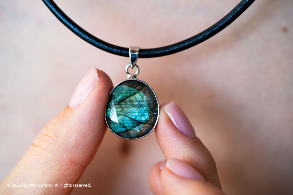 Labradorite Silver & Leather Necklace