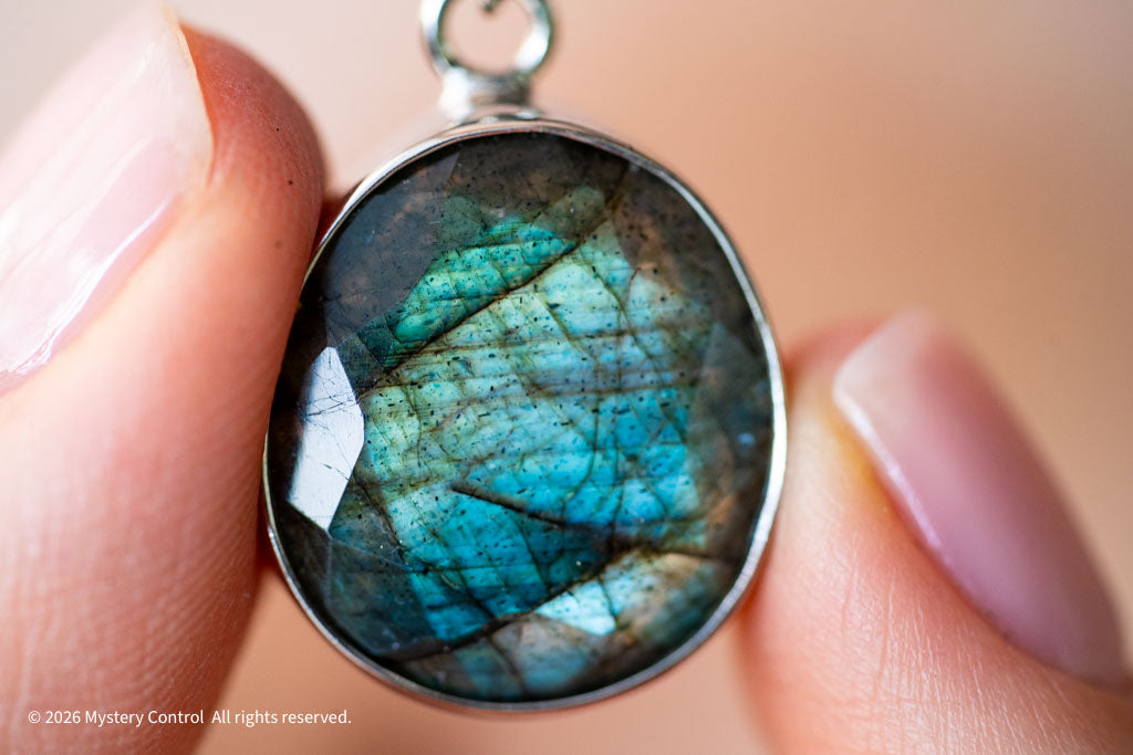 Labradorite Silver & Leather Necklace