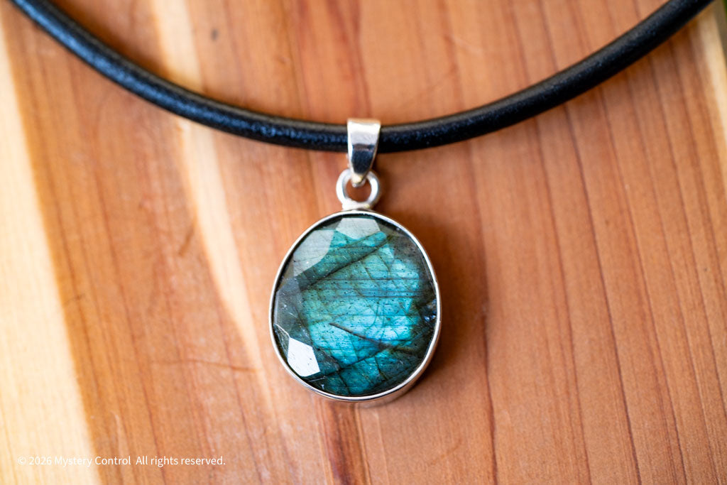 Labradorite Silver & Leather Necklace