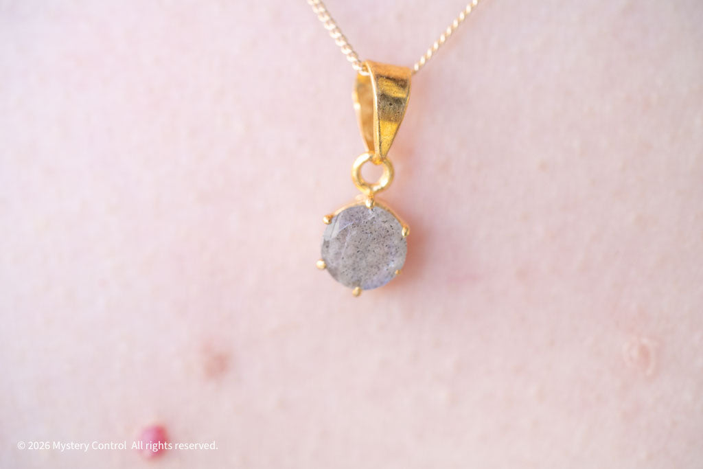 Labradorite Tiny Charm Necklace
