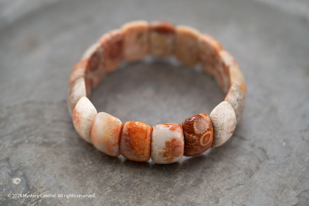 Moroccan Fossil Coral Bracelet