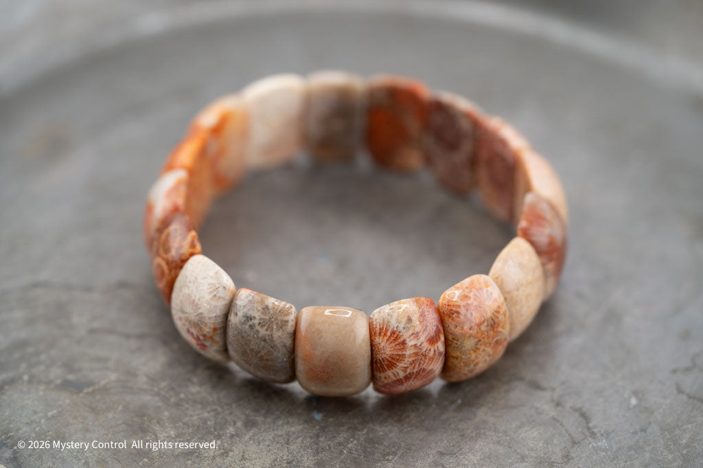 Moroccan Fossil Coral Bracelet