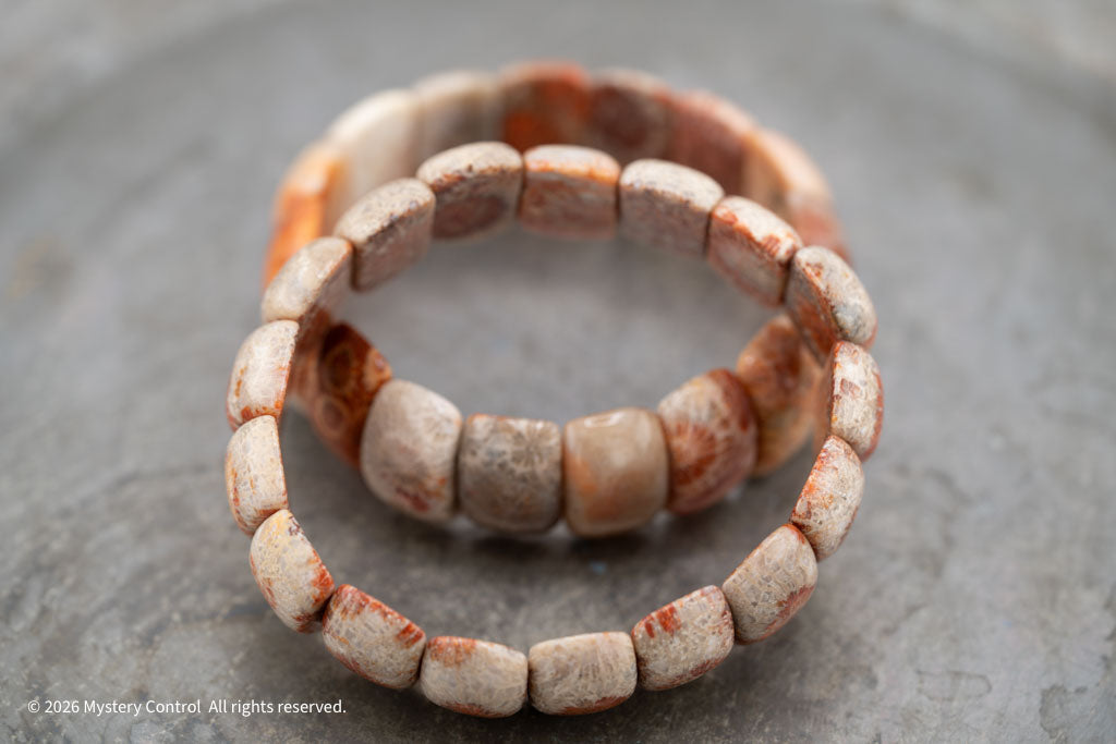 Moroccan Fossil Coral Bracelet