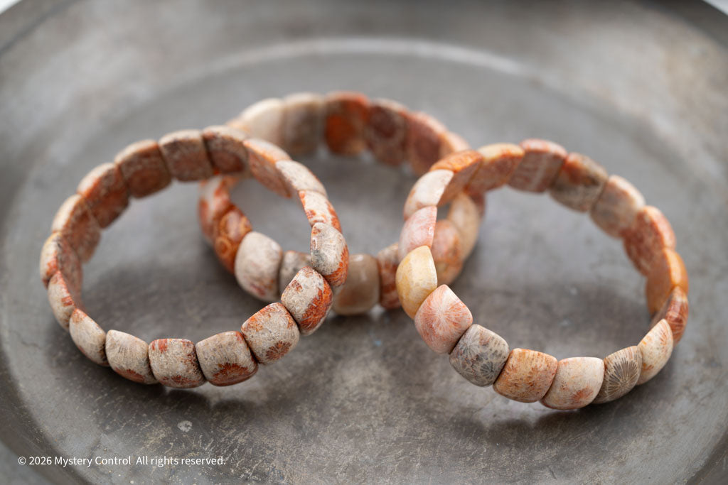 Moroccan Fossil Coral Bracelet