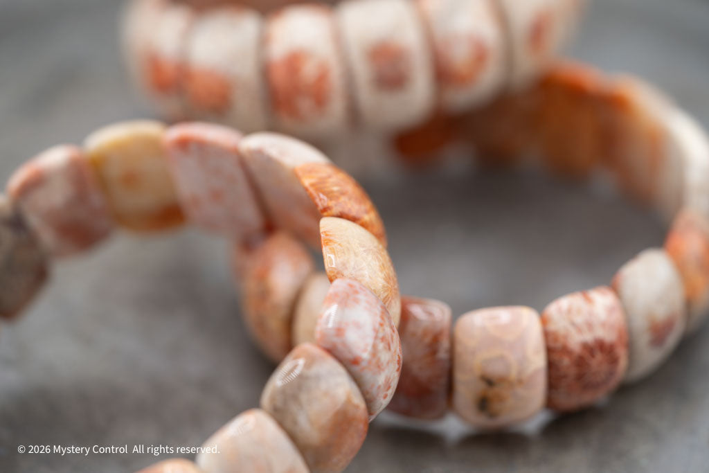 Moroccan Fossil Coral Bracelet