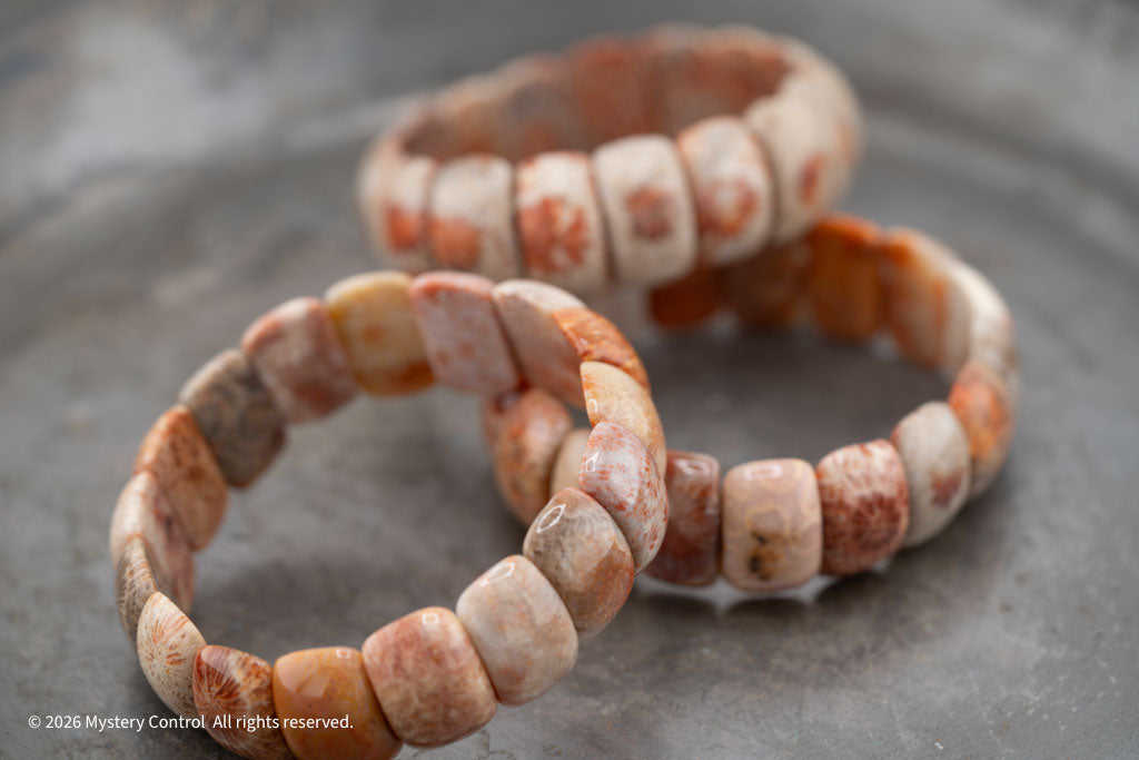 Moroccan Fossil Coral Bracelet