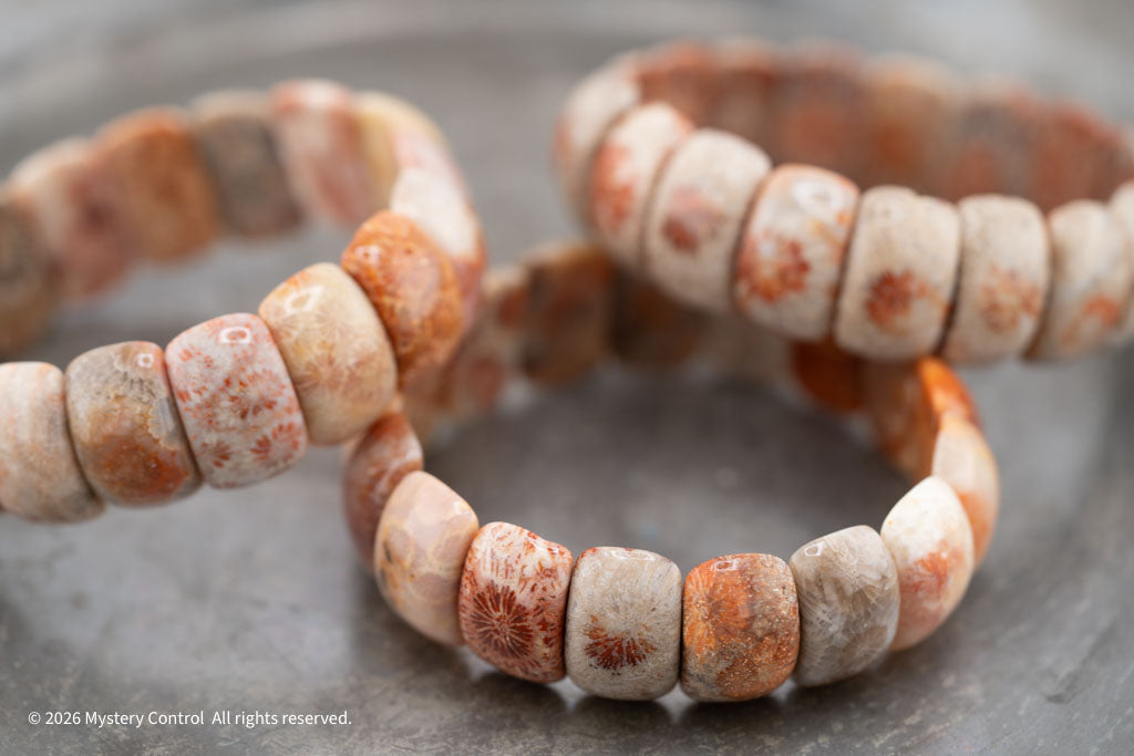 Moroccan Fossil Coral Bracelet