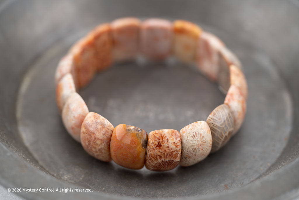 Moroccan Fossil Coral Bracelet
