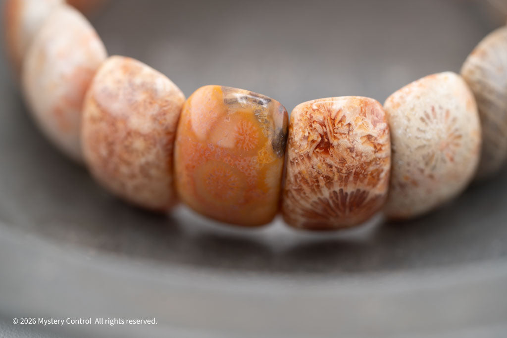 Moroccan Fossil Coral Bracelet