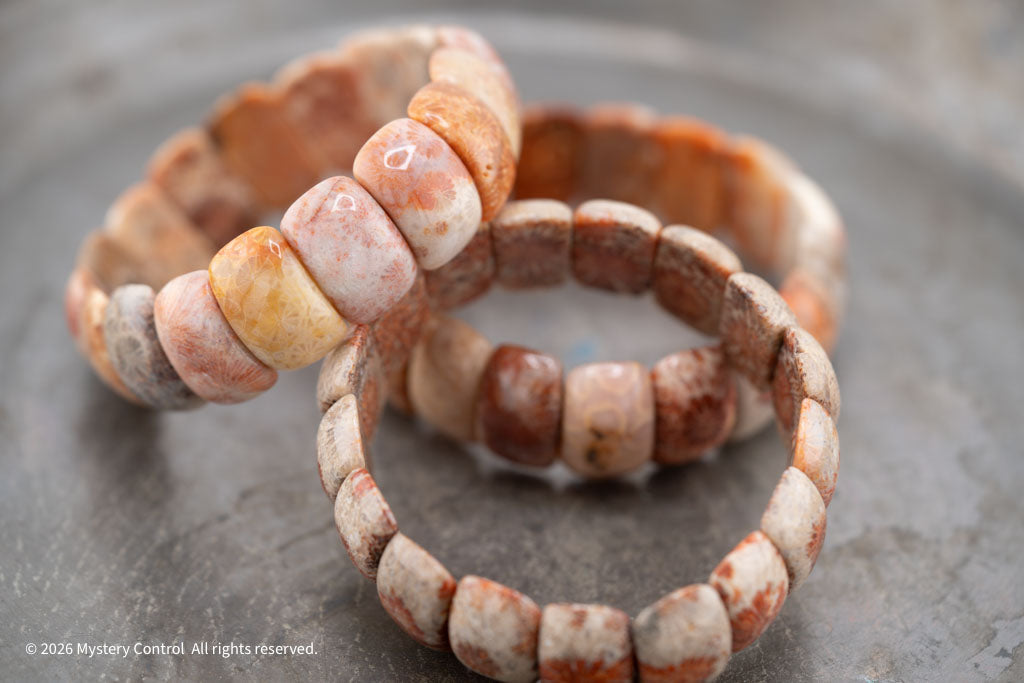 Moroccan Fossil Coral Bracelet